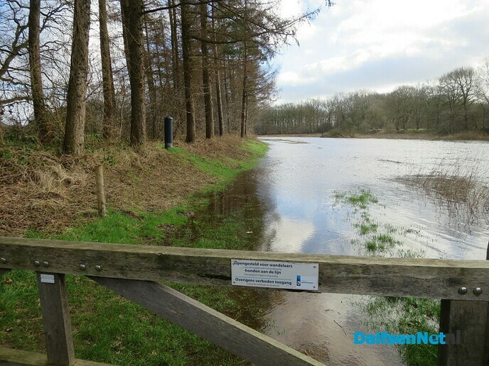 Een rondwandeling op het Landgoed Het Laar Ommen - Foto: Wim