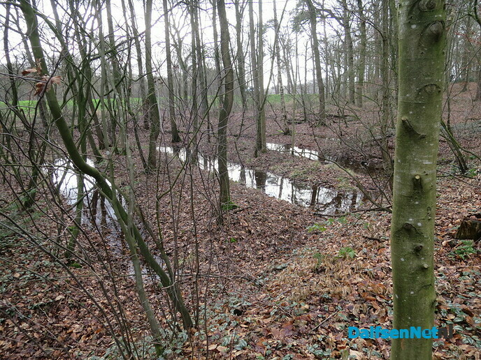 Een rondwandeling op het Landgoed Het Laar Ommen - Foto: Wim