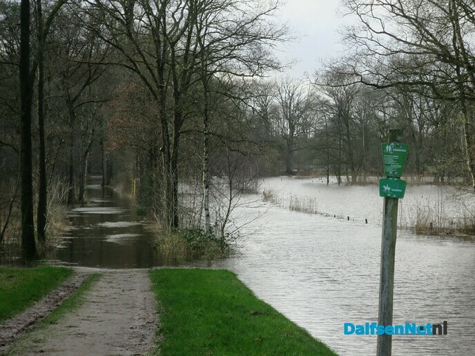 Een rondwandeling op het Landgoed Het Laar Ommen - Foto: Wim