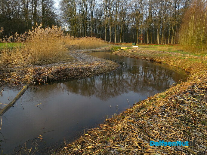 Lichte vorst en een mooi opkomende zon - Foto: Wim