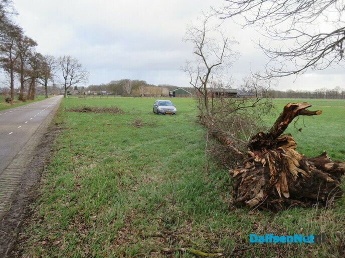 Stormschade, hoofdzakelijk omgewaaide bomen - Foto: Wim