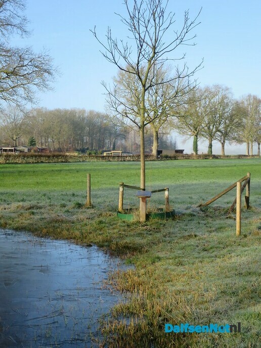 “Han Noten” krijgt natte voeten - Foto: Wim