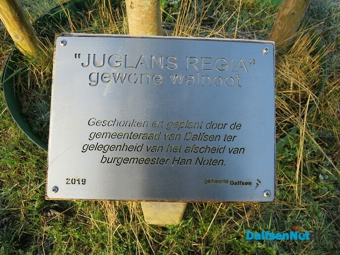 “Han Noten” krijgt natte voeten - Foto: Wim