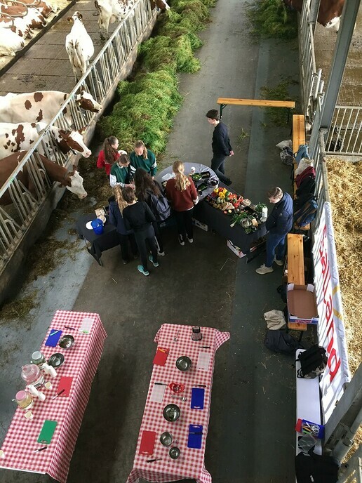 1500 leerlingen gaan op ontdekking, ook uit Nieuwleusen - Foto: Ingezonden foto