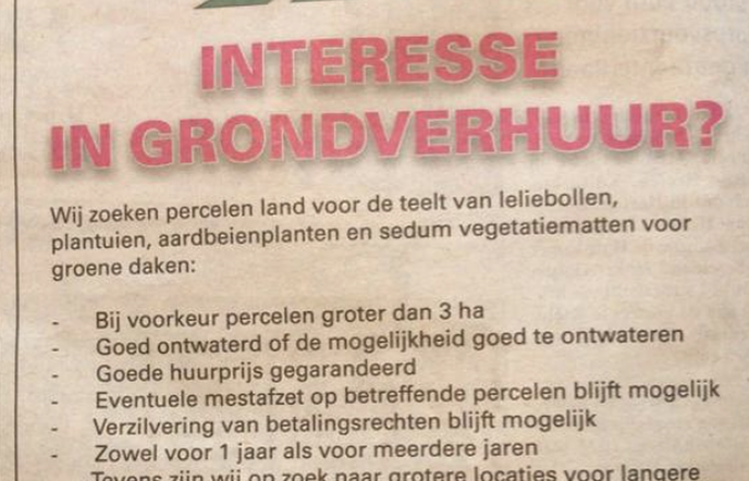 Verhuur je grond niet voor lelieteelt - Foto: Ingezonden foto