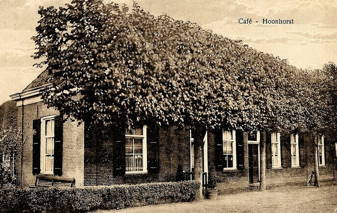 Vervolg van Dalfsennet magazine: hart van Hoonhorst