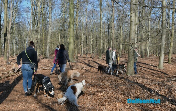 Opening Hondenspeelbos Punthorst - Foto: Johan Bokma