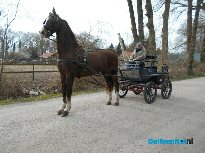 Anton moest het vandaag alleen doen