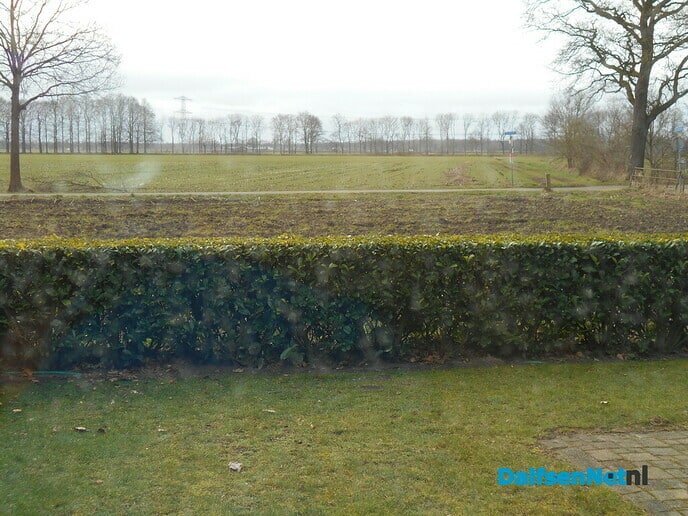 Dag van je leven
