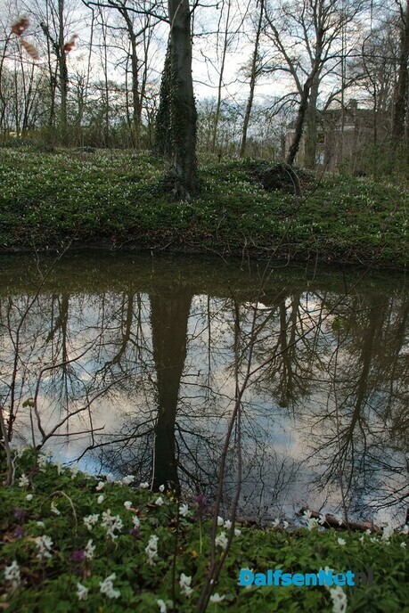Met IVN Zwolle wandelen rond Landgoed Dickninge in De Wijk - Foto: Eigen geleverde foto