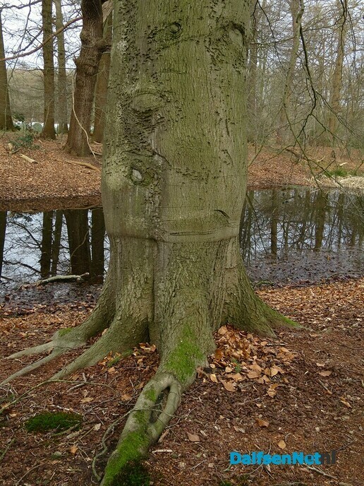 De Mataram blijft een prachtig wandelgebied, mits goed weer - Foto: Wim