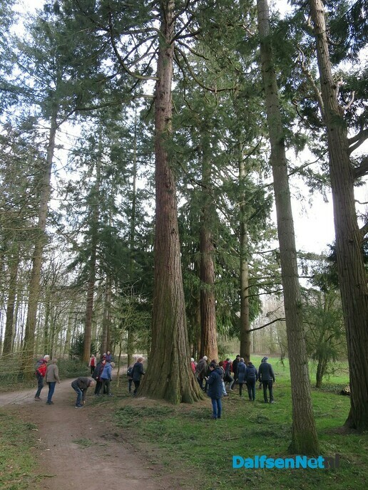 Een prachtig wandelgebied rond Zandhove bij Zwolle - Foto: Wim