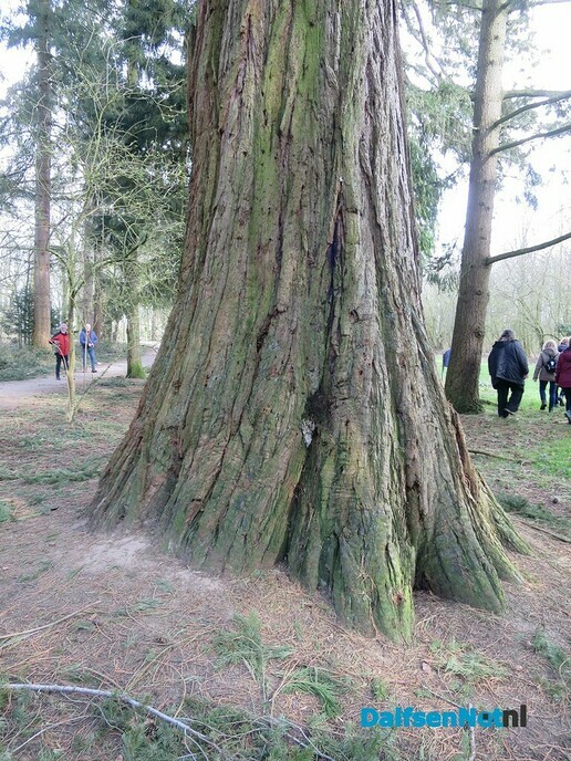 Een prachtig wandelgebied rond Zandhove bij Zwolle - Foto: Wim