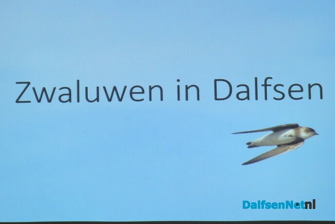 Zwaluwtil op Bellingeweer, nu van de gemeente - Foto: Wim