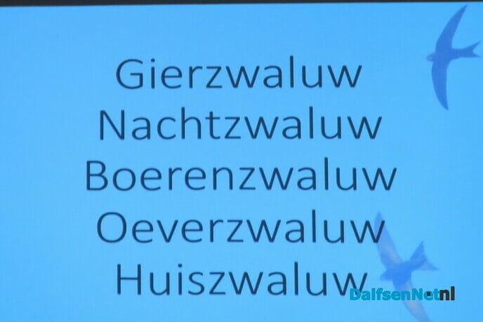 Zwaluwtil op Bellingeweer, nu van de gemeente - Foto: Wim