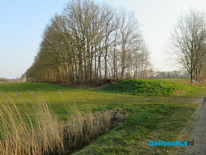 Vanmorgen een blauwtje gelopen - Foto: Wim
