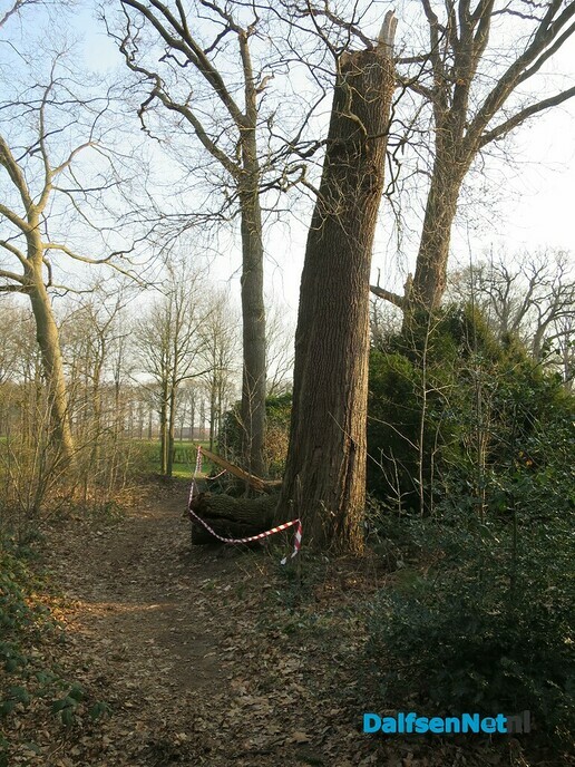 Vanmorgen een blauwtje gelopen - Foto: Wim