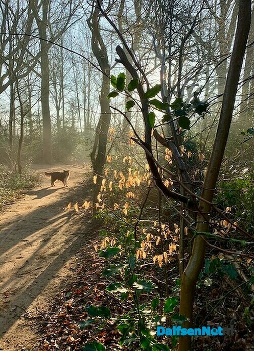 21 maart vroege lente wandeling! - Foto: Ingezonden foto