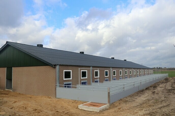 Open dag nieuwe biologische vleesvarkensstal