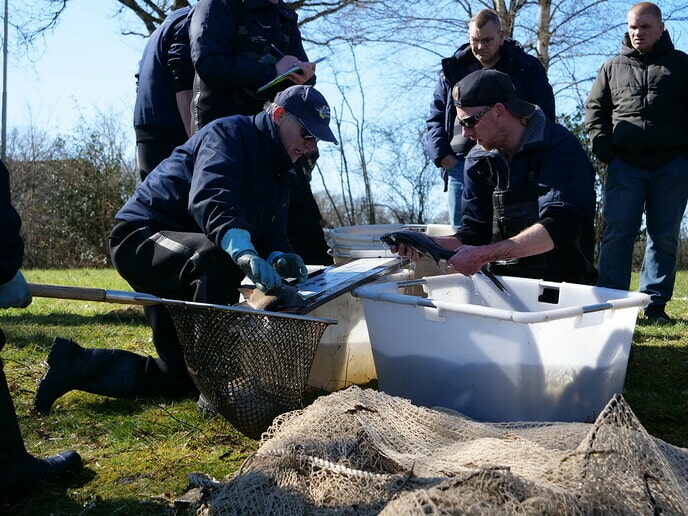 Visserijkundig onderzoek Hulsterplassen