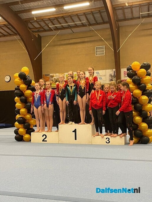 Medailles voor Gym. ver. Nieuwleusen - Foto: Ingezonden foto