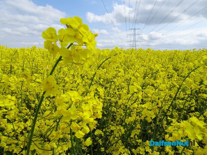 Bijzonderheden van de dag - Foto: Ingezonden foto