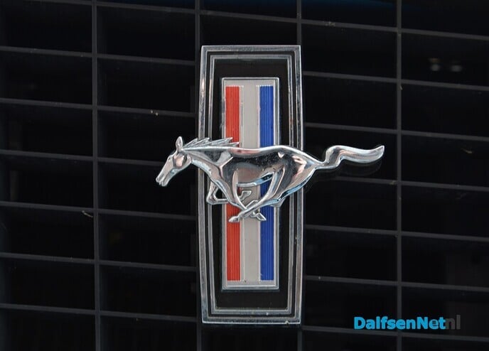 American car show bij de Roadrunner - Foto: Johan Bokma