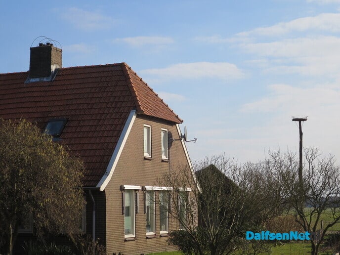 Hoeveel ooievaars kunnen er nog bij? - Foto: Wim