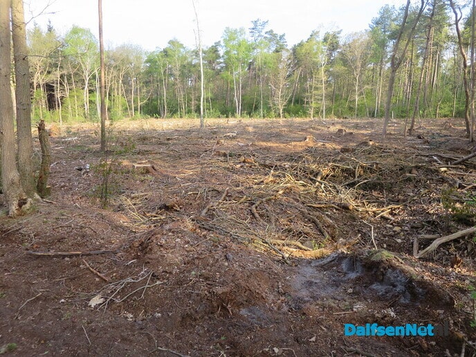 Bospaden Sterrebos weer goed begaanbaar - Foto: Wim