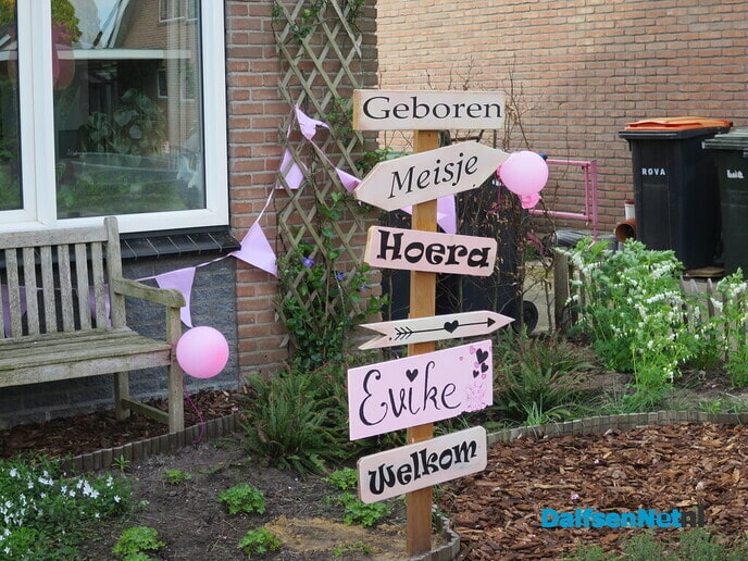 Hoera Evike geboren aan de Dammans Es - Foto: Wim