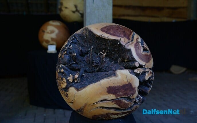 Kunst om Dalfsen een groot succes! - Foto: Johan Bokma