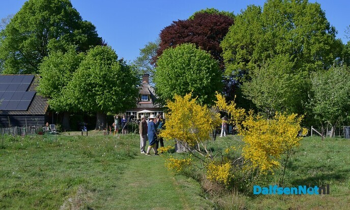Kunst om Dalfsen een groot succes! - Foto: Johan Bokma