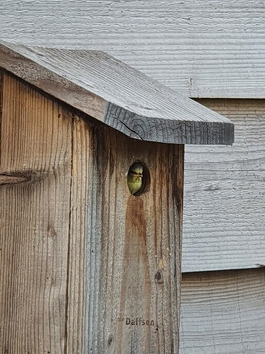 Het is goed toeven in huisje van de gemeente - Foto: Ingezonden foto