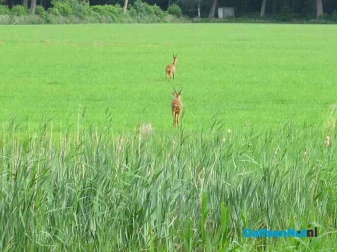 Een wandeling route Kanaaldijk Noord - Foto: Wim