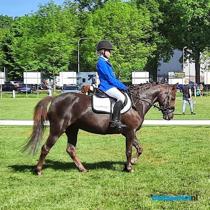 Wedstrijdverslag Paardensportvereniging Lemelerveld - Foto: Ingezonden foto