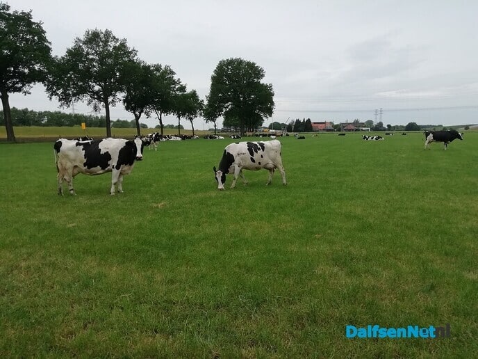 Leuke activiteit aanstaande vrijdag! - Foto: Ingezonden foto
