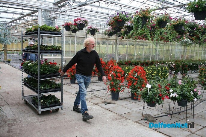 Voorjaarsplanten voor Hospice Dalfsen - Foto: Ingezonden foto