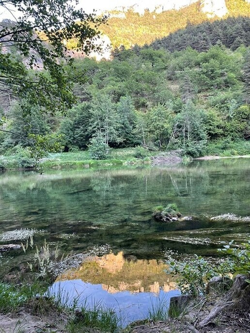 Dalfsenaren op vakantie - Foto: Ingezonden foto