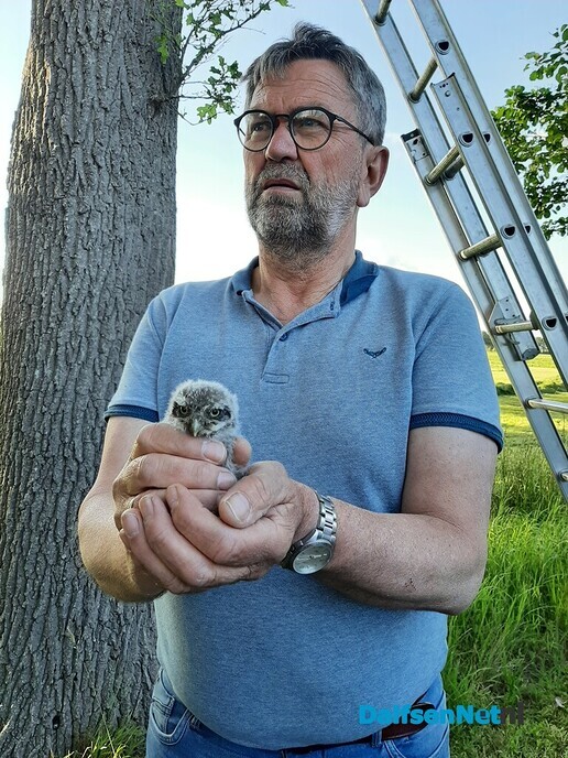 Roofvogels geringd in Nieuwleusen - Foto: Ingezonden foto