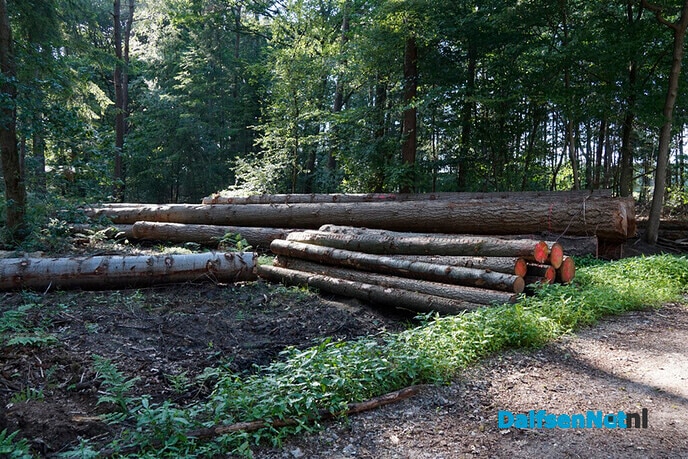 Wandelpaden Gerner Bos weer begaanbaar - Foto: Paul Scholten