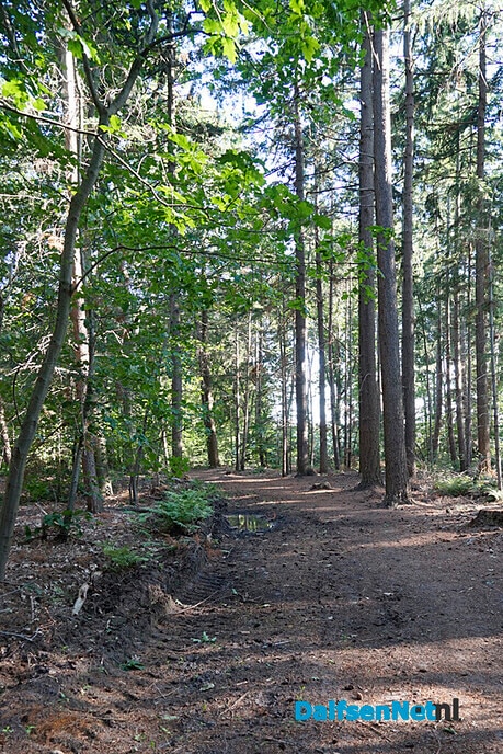 Wandelpaden Gerner Bos weer begaanbaar - Foto: Paul Scholten