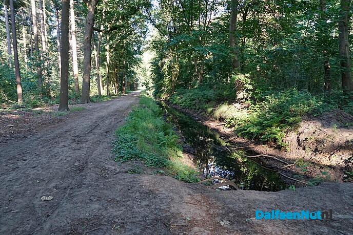 Wandelpaden Gerner Bos weer begaanbaar - Foto: Paul Scholten