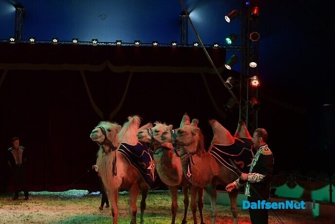 Circus Renz Olympia dit pinksterweekend in Dalfsen - Foto: Johan Bokma