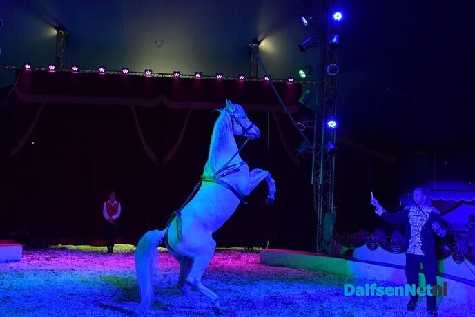 Circus Renz Olympia dit pinksterweekend in Dalfsen - Foto: Johan Bokma