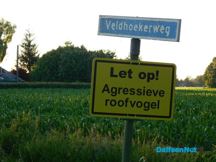Loot oe niet in de nekke pik’n