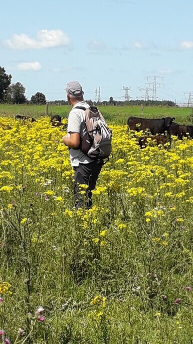Zondag wordt het uitstekend wandelweer. - Foto: Ingezonden foto