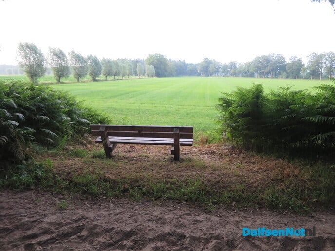 Genieten op de vroege zondagmorgen - Foto: Wim
