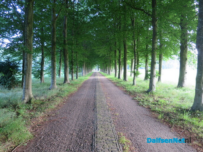 Genieten op de vroege zondagmorgen - Foto: Wim