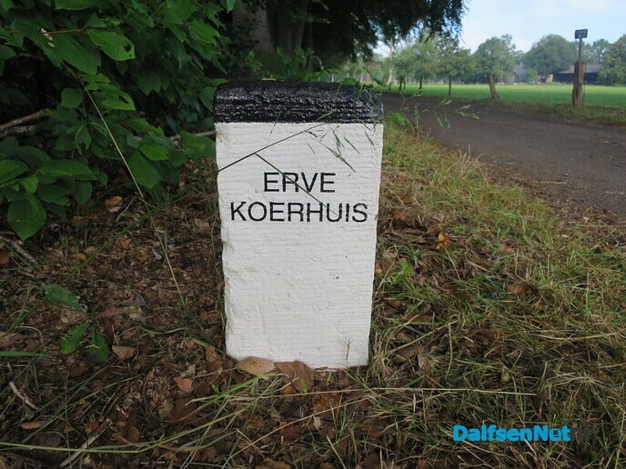 Genieten op de vroege zondagmorgen - Foto: Wim