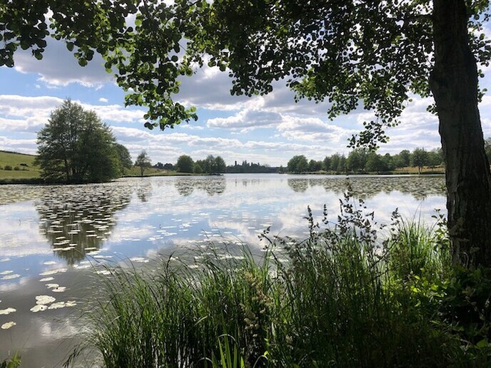 Dalfsenaren op vakantie - Foto: Ingezonden foto